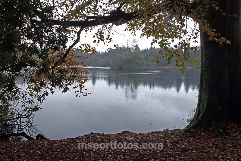 Hillsborough Lake - Irelands landscapes