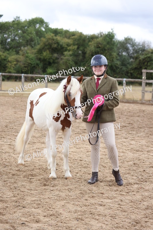 20260831-1580 - Class 2 - Youngstock