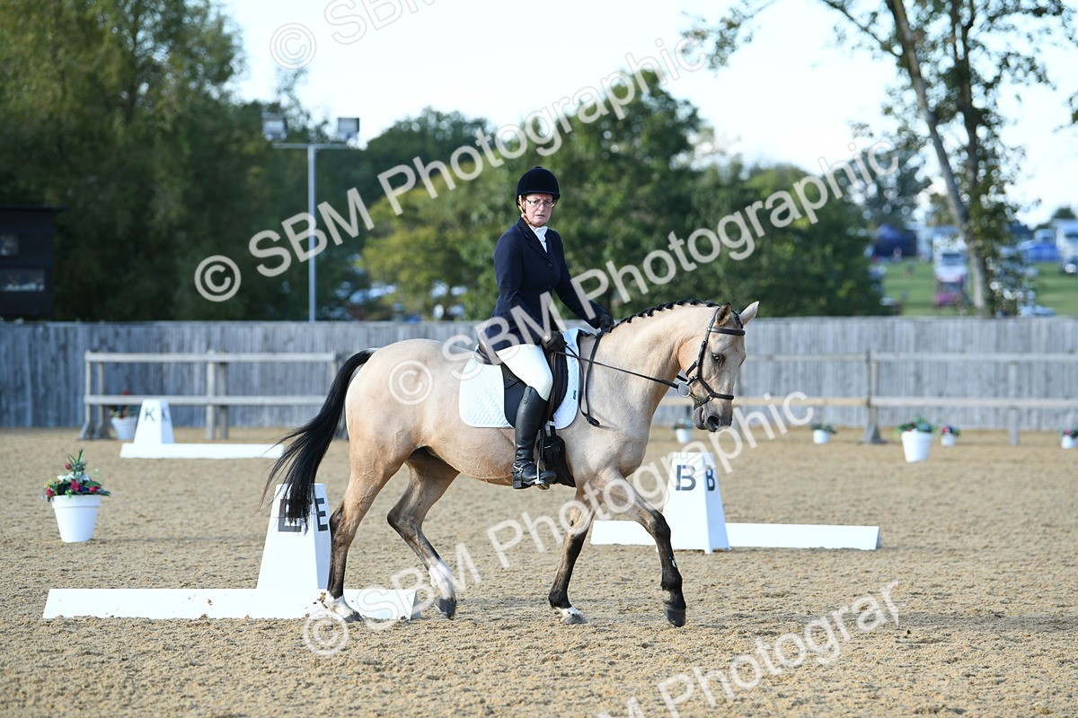 SBM_28497 - D16 - Small Tour Championship - Novice 28