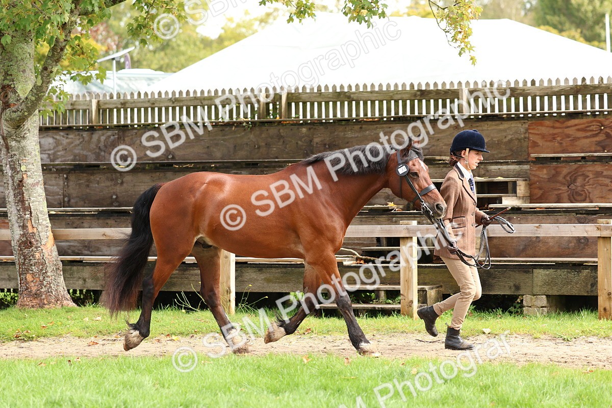 SBM_40736 - S25 -  Veteran In Hand