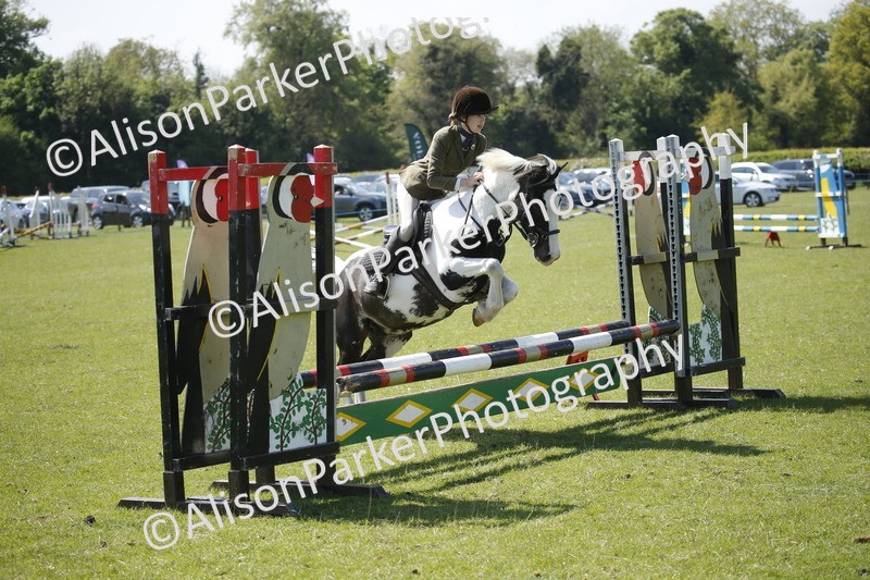 20250427-2286 - Class 13 - Novice Jumping 60cm