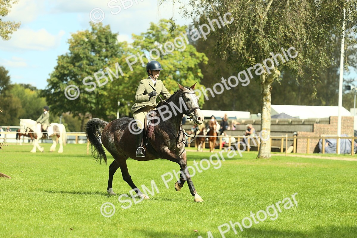 SBM_42130 - S29 - Novice & Newcomers Working Hunter Pony