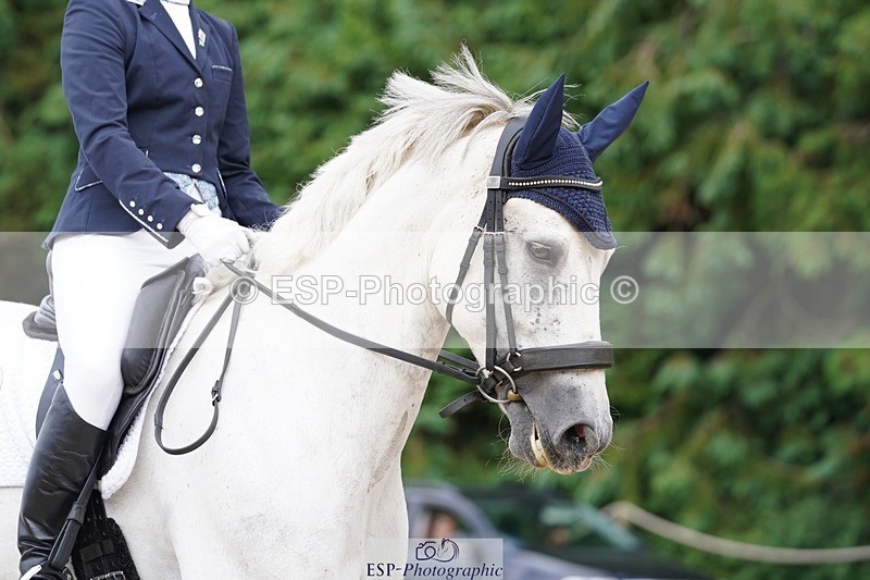 240721-154336-10131 - 173-Polly_Vogel-Loughamore_Lady