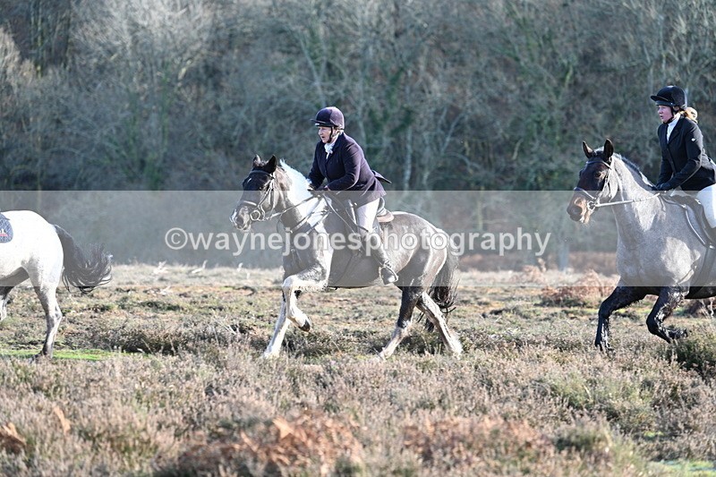 WJ7_7967 - Line 3 (no line 4 or 5)