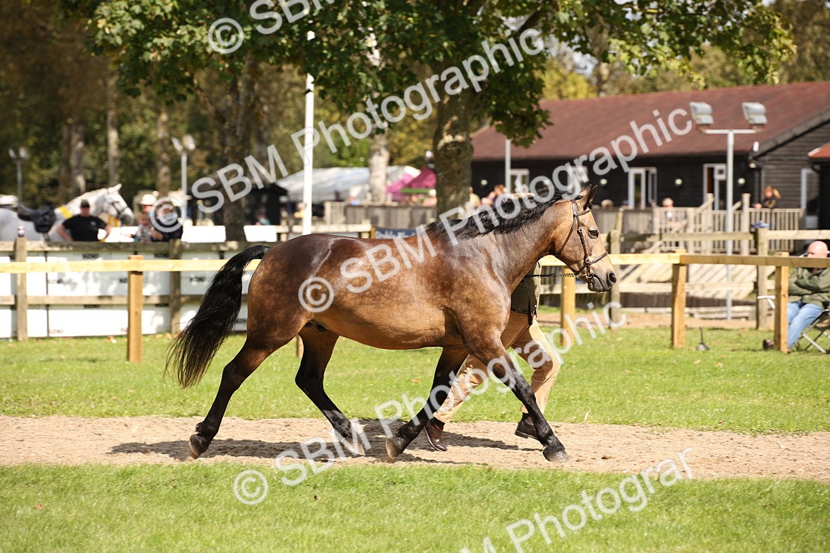 SBM_44397 - S24 - Young Veteran in hand