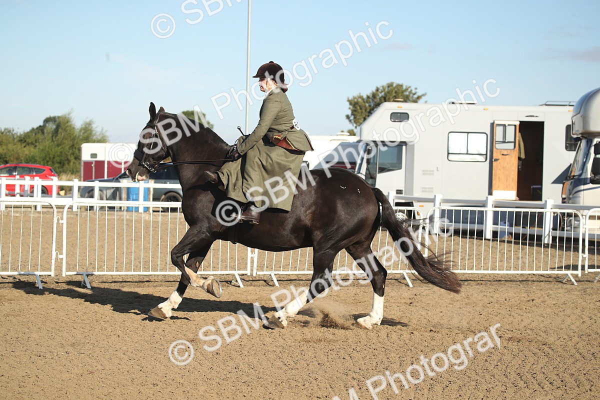SBM_11316 - Class 501 -Riding Club Pony