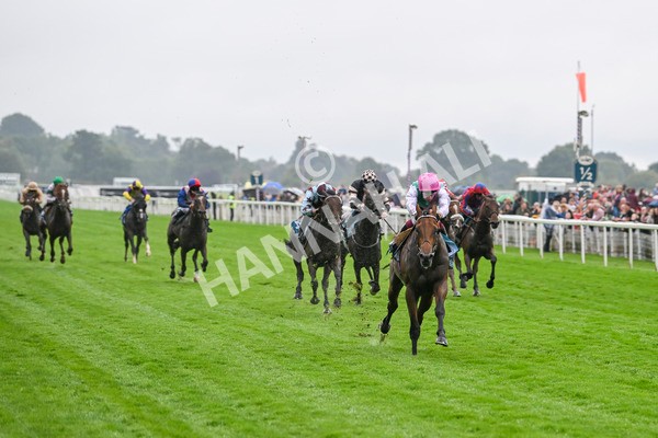 080924-Race 1-Windlord-8787 - Race 1 1.40pm British European Breeders Fund Novice Stakes