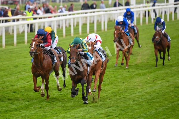 180523-Race 7-Chesspiece-0874 - Race 7 5.20pm Collective Green Energy Handicap