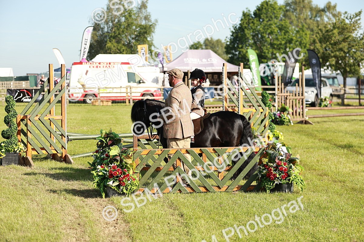 SBM_11170 - Class 106-107 - BSPS LIHS Working Sports Pony
