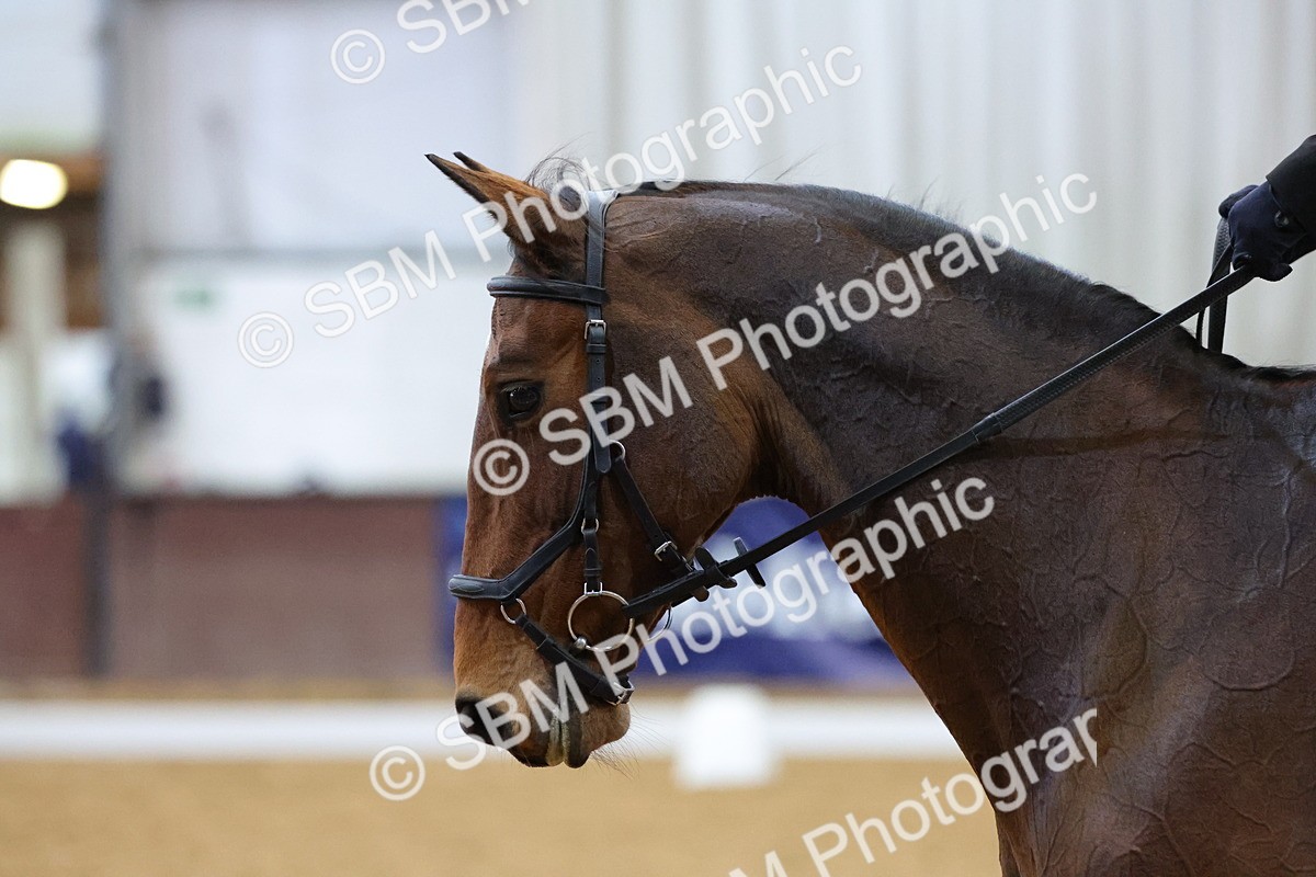 SBM_001020 - Novice