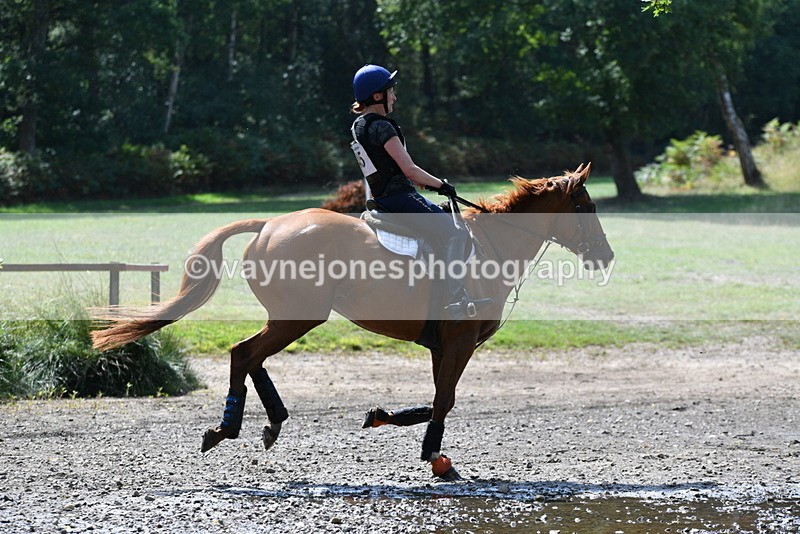 WJ5_2870 - XC Time 12:35 to 12:59