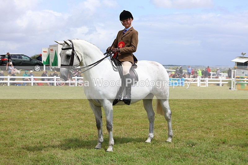 3E7A1775 - Class 9: Open Hunter