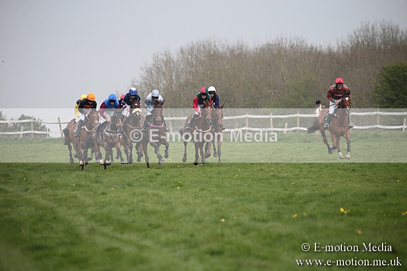 PtP 210418 323 - South & West Wilts Point-to-Point Larkhill 21/04/18