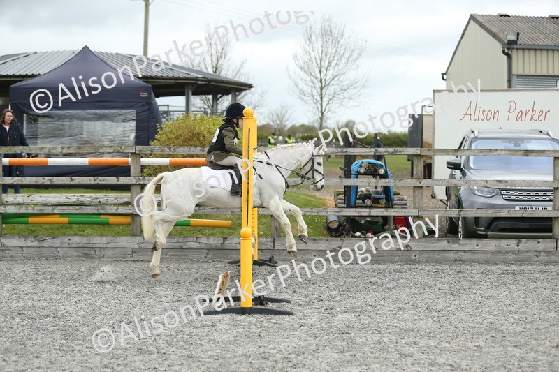 20260412-0658 - Show Jumping