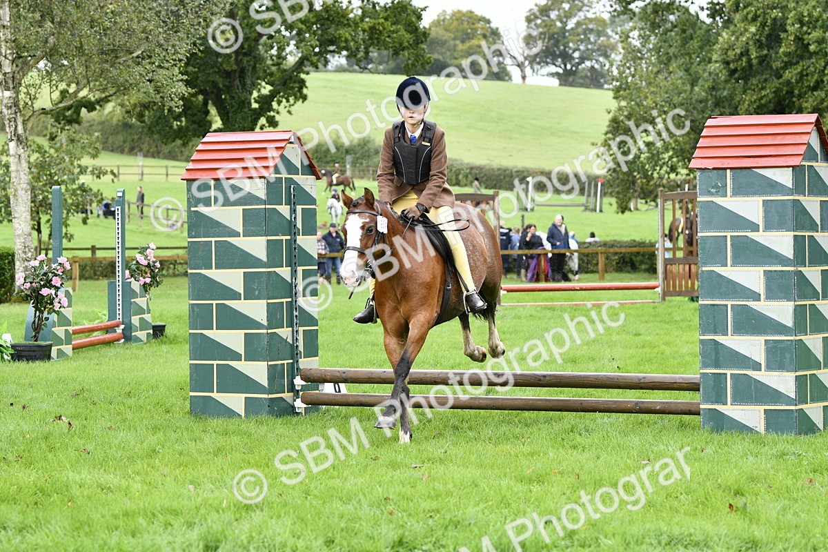 SBM_35446 - S30 - Nursery Stakes Working Hunter Pony