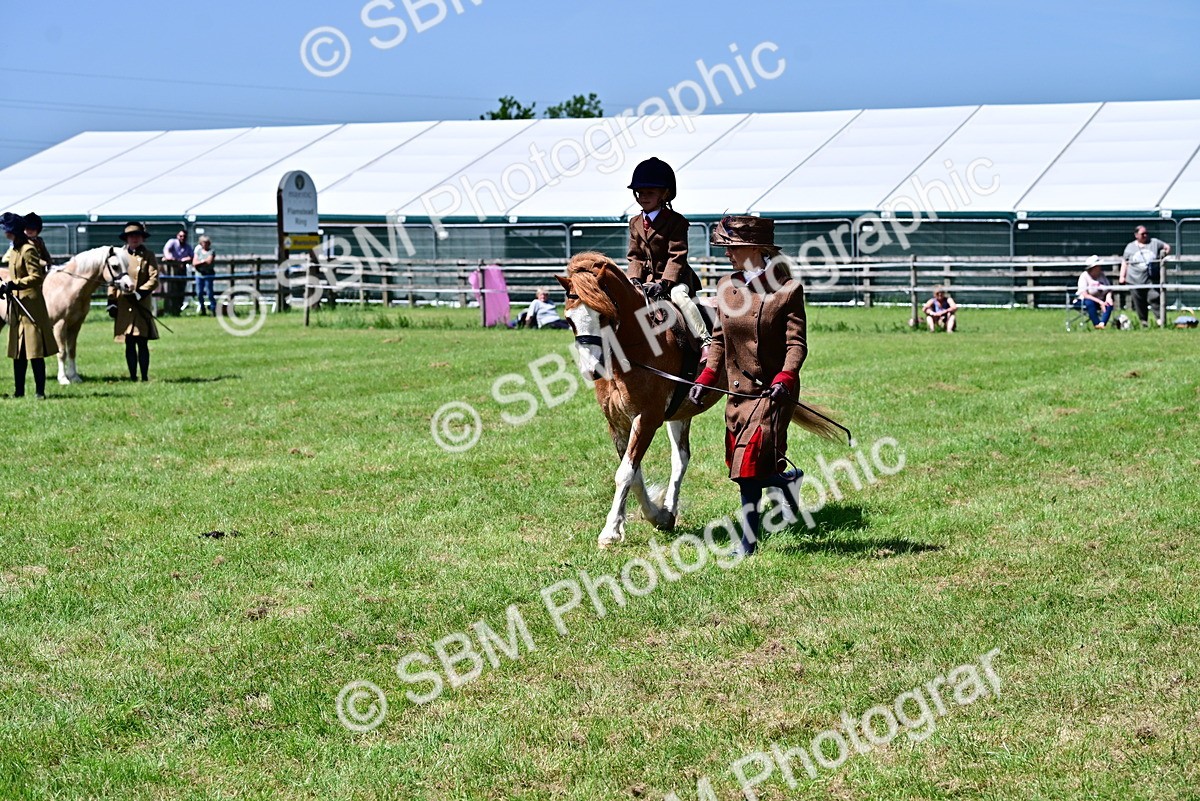 SBM_05846 - Class 59-60 - TSR M&M  Lear Rein and First Ridden Amateur of the year