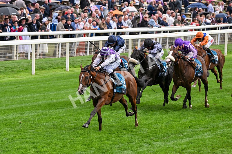 200826-Race 6-Mia Fantasia-0736 - Race 6 16.45pm Mews Hotel Ossett EBF Stallions Nursery Handicap