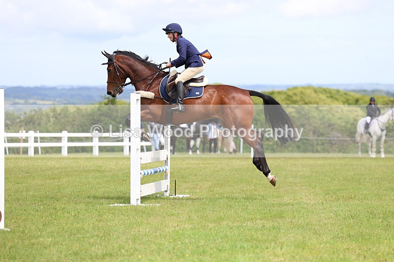 3E7A7402 - Class 13: Senior British Novice/90cm open