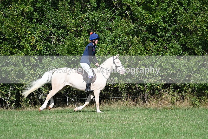 WJ7_8554 - 60cm Pairs