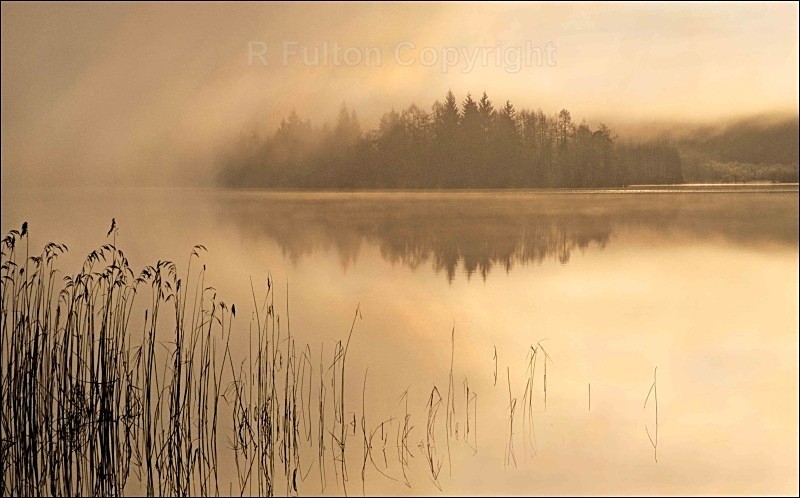 Approaching Fog - Landscapes