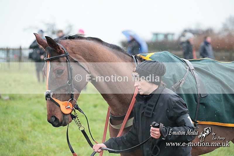 PtP 031223 592 - Wheatland Hunt PtP Chaddesley Races 03/12/23