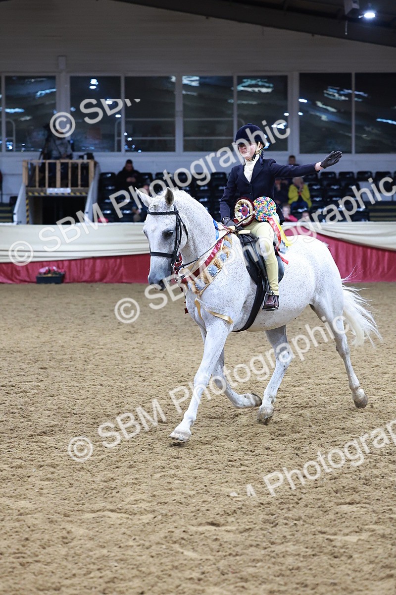 SBM_20050 - Class B - Junior Champ 11yr to 16 Years