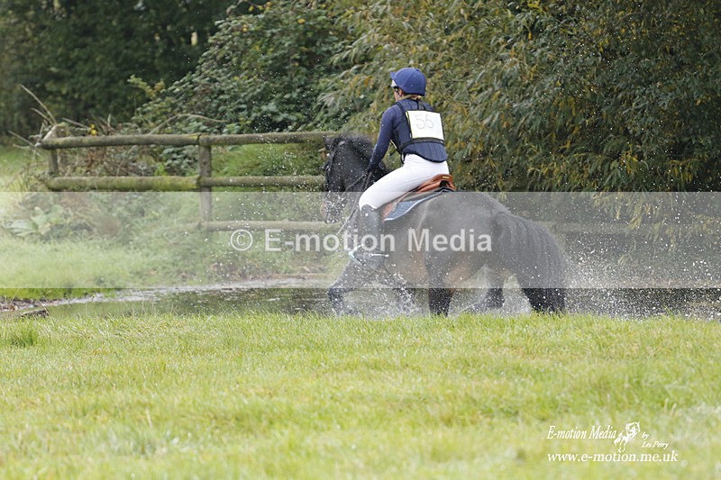  WWHT 171021 0772 - Open Novice (0.80m)  17/10/21