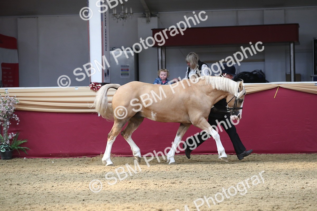 SBM_15237 - Class 501 M&M IH Supreme Final