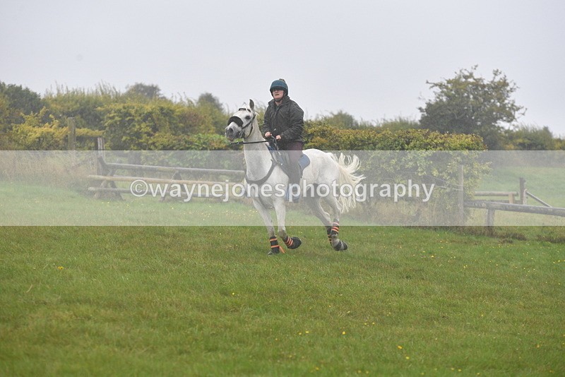 WJ5_7330 - Time 15:26 to 15:42