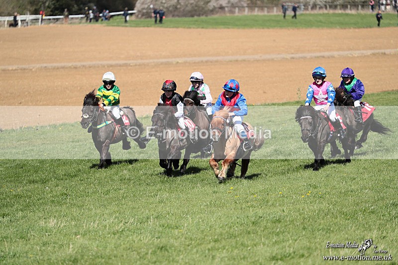 Shet 060426 256 - Shetland Pony Racing Paxford Races Easter Mon 06/04/26