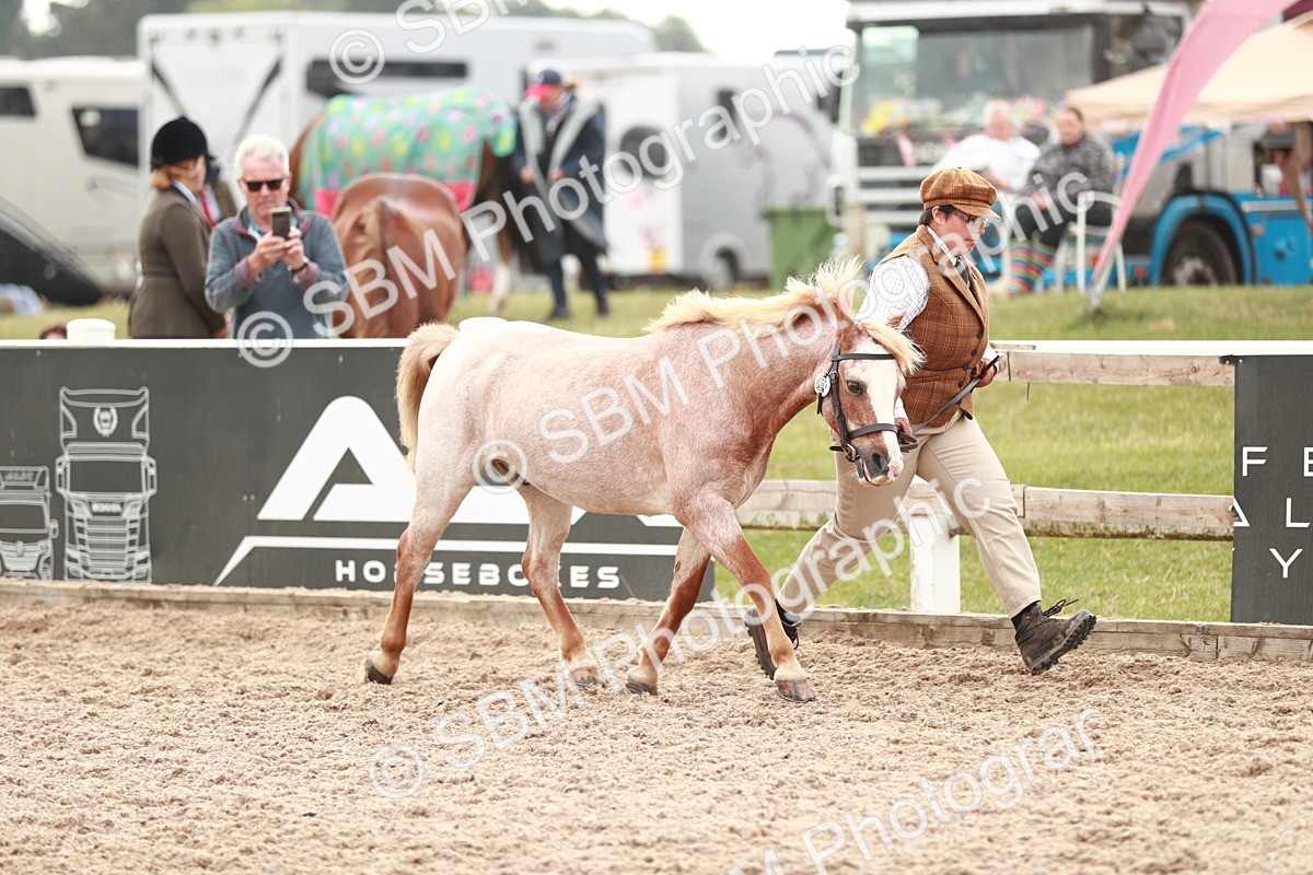 SBM_12444 - Class 207 IH M&M