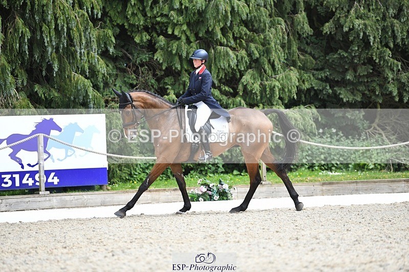 230525-150622-03192 - 324-DRUMGIVEN_MR_CHARISMA-Jeanette_Brakewell-WEDTrotUp+DR