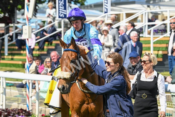 140525-Race 2-Rousing Encore-1956 - Race 2 2.42pm Churchill Tyres Handicap