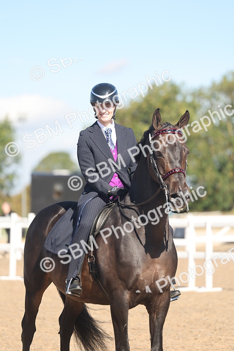 SBM_13068 - Class 305 - Ridden Foreign Breed Pure Bred