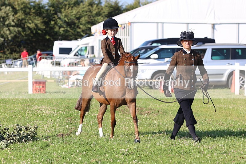 JPP_0655 - Class 16: Cornish Combination Leading Rein