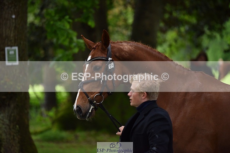 240522-163924-01068 - 265-GREANNANSTOWN_MONBEG_JOE-Finn_Healy