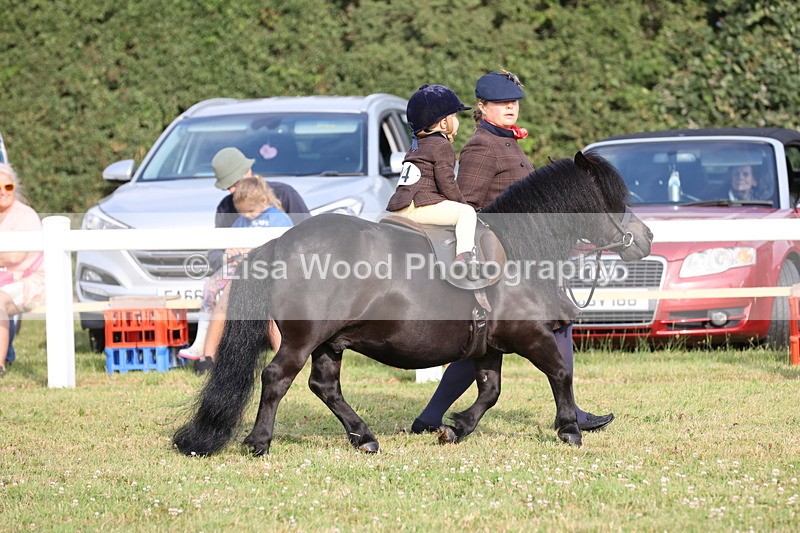 JPP_0292 - Class 14: Cornish Combination Leading Rein