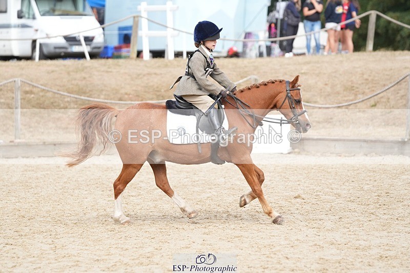 250821A-103352-14099 - WC Round 2 10.00 to 11.00