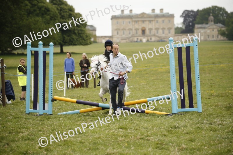 20250517-0164 - Class 1 - 30cm On Lead Rein