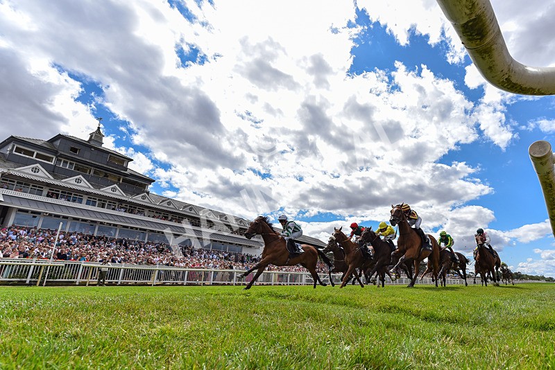 010826-Race 2-Witch Hunter-4528 - Race 2 14.08pm William Hill Summer Cup Handicap