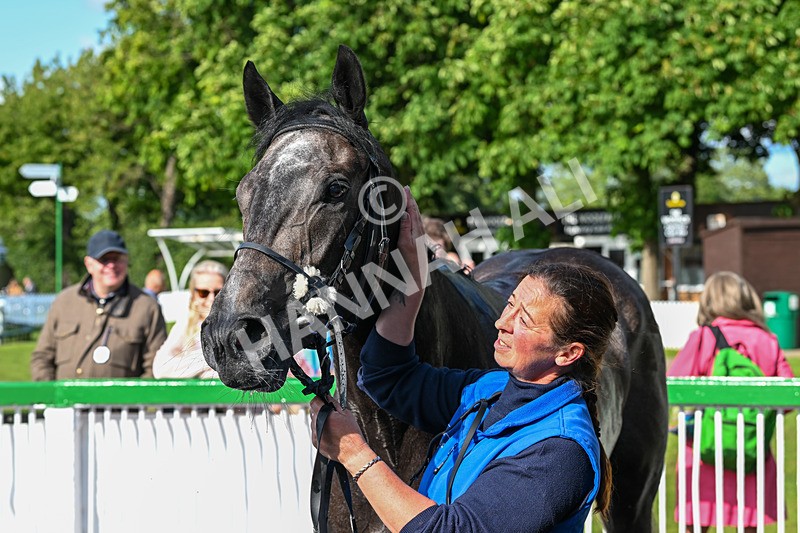 060625-Race 8-Arabian Cobra-5821 - Race 8