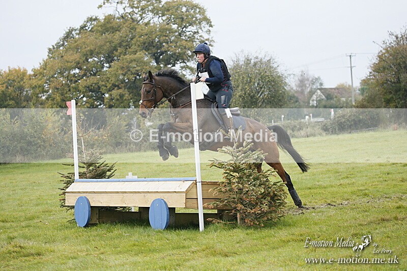 WWHT 181020 WWHT 181020 599 - WWEC Open Novice (0.80m) 18/10/20