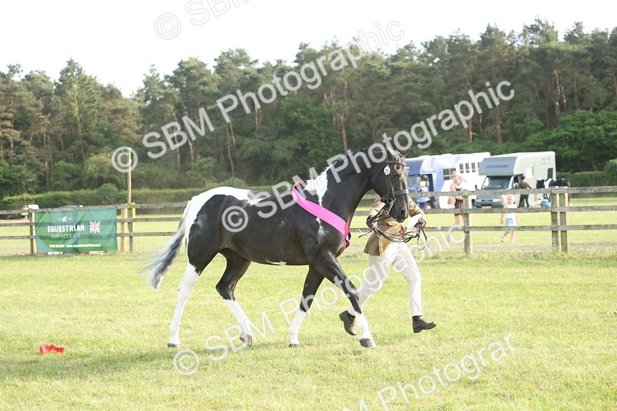 SBM_10615 - Class 33-38 - SSADL RIHS Qualifiers