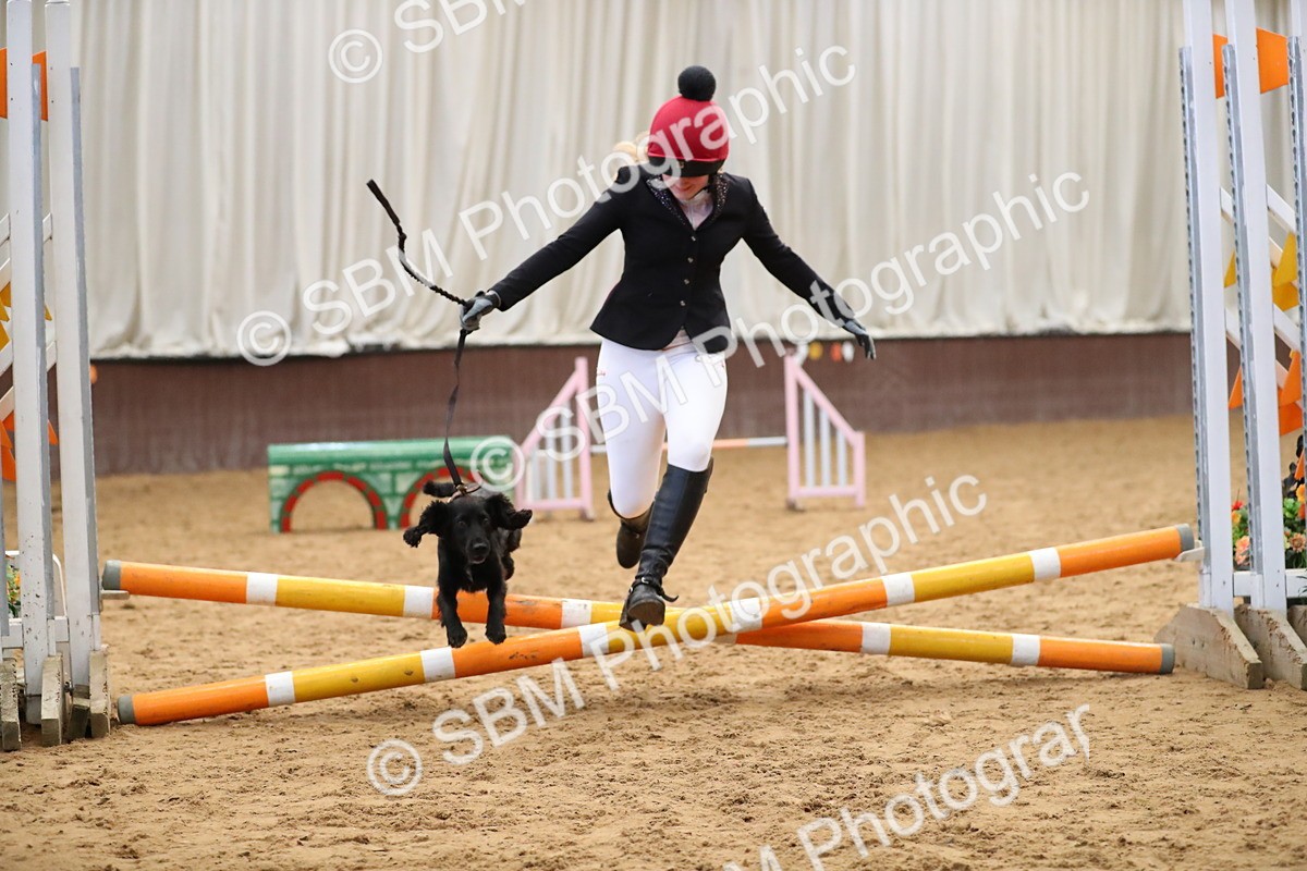 SBM_001364 - Class 3 - Horse & Hound