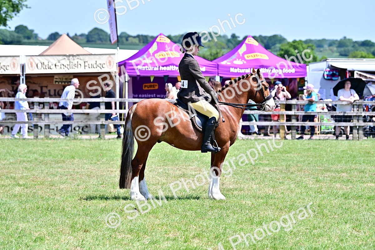 SBM_15402 - Class 95-97 - BSPS LHS Performance Ponies