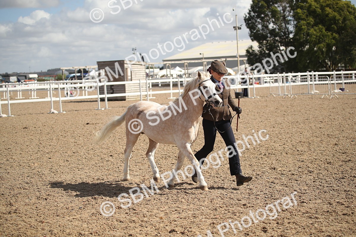 SBM_23427 - Class 604 - 2026 - Area IH Diamond