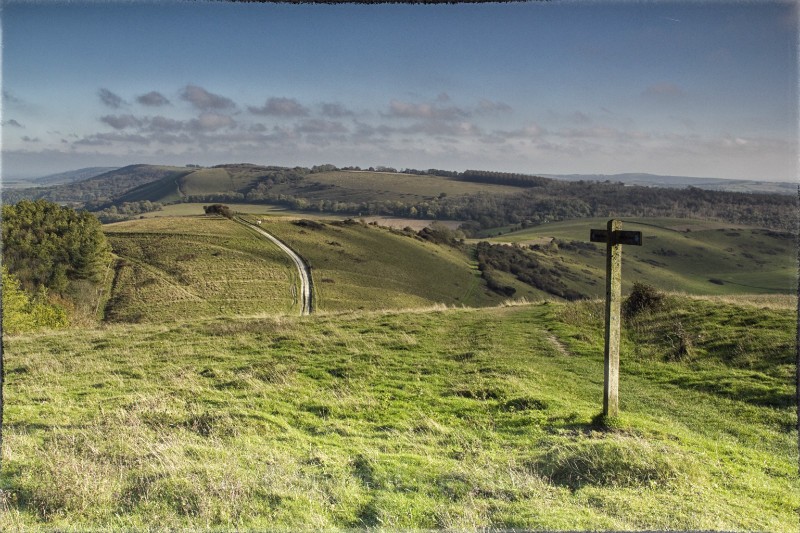 The Rolling South Downs - The Low Lands