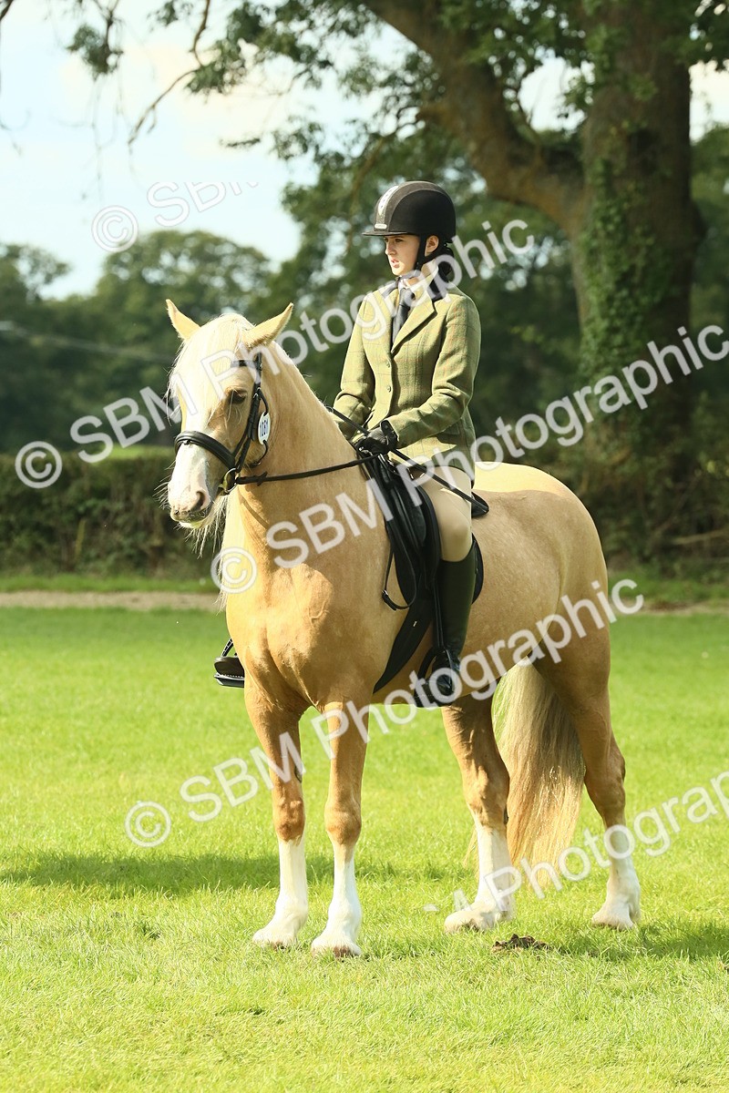 SBM_62601 - S63 - Other Coloured Horse Ridden