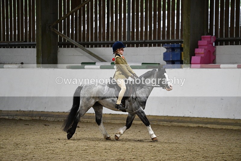 WJ5_8295 - Class 14 Novice Ridden/Rider