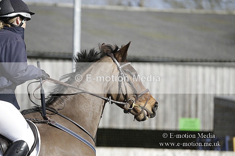 BVRC 050320 0089 - Bourne Valley riding Club Show Jumping Tidworth 08/03/20